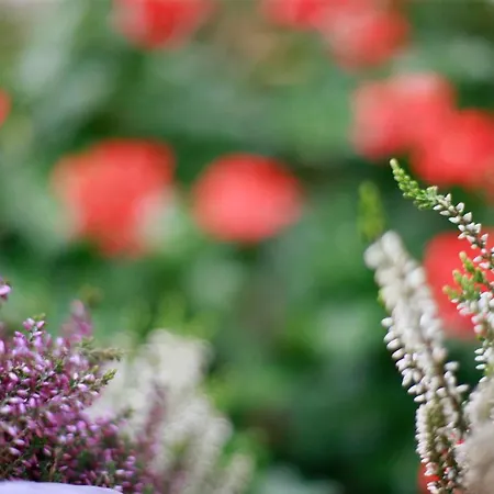 Dakowski Dwor Hotel apartamentowy